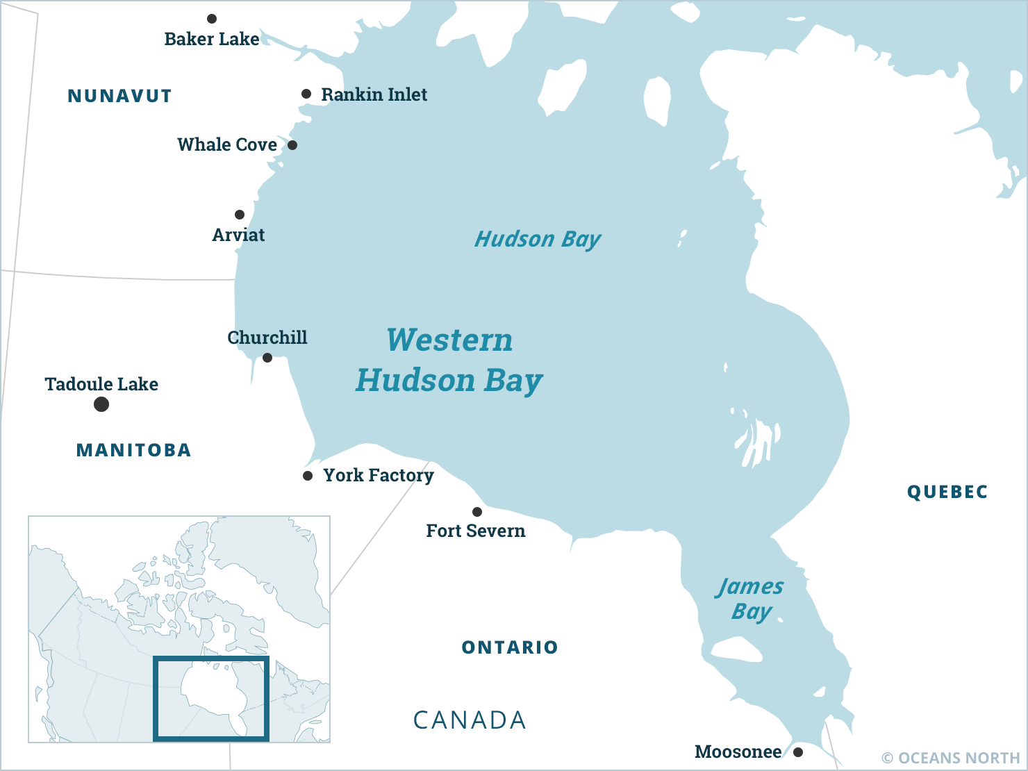Western Hudson Bay – Where We Work – Oceans North